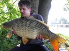 Kliknutím fotografii zvětšíte Kapr 80cm 10kg