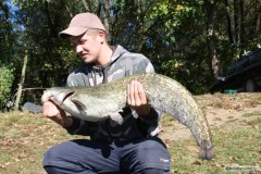 Kliknutím fotografii zvětšíte Sumec 104cm 7kg