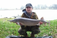 Kliknutím fotografii zvětšíte jeseter 105 cm a 7 kg