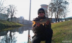 My city fishing