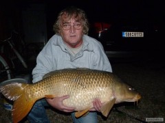 Kapr 95 cm, 19 kg,