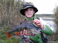 Kliknutím fotografii zvětšíte na poppera
