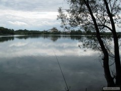 Kliknutím fotografii zvětšíte Donbas