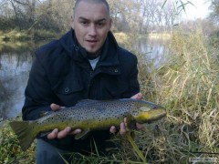 poto�ak 55 cm,
