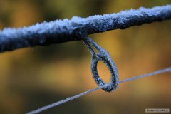 Kliknutím fotografii zvětšíte lužnice