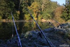 Kliknutím fotografii zvětšíte lužnice