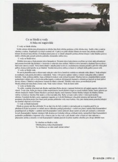 Kliknutím fotografii zvětšíte Co se hledá u vody