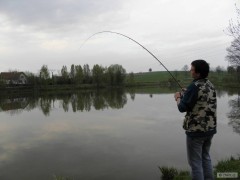 Kliknutím fotografii zvětšíte feeder v akci