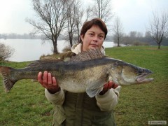 Kliknutím fotografii zvětšíte Pískovna Žernoseky 19.11.2011