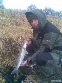 zander01