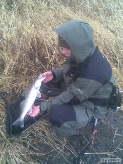 zander02