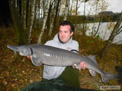 Kliknutím fotografii zvětšíte jesetek 130cm