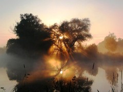 Kliknutím fotografii zvětšíte Probouzení přírody na Legerově rameni