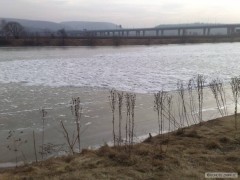 Kliknutím fotografii zvětšíte Letosni Berounka