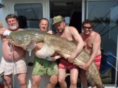 sumec 90kg 215 cm