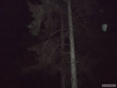 Kliknutím fotografii zvětšíte