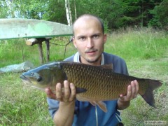 Amur 82