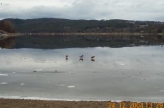 Kliknutím fotografii zvětšíte Brněnský