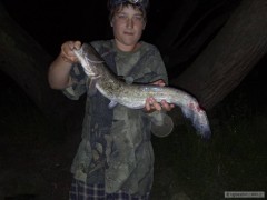 59 cm na feeder