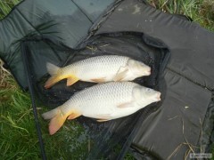 double