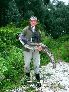 Kliknutím fotografii zvětšíte Sumec