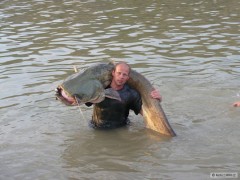 Kliknutím fotografii zvětšíte Sumec 233cm 78 kg