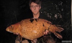 Kliknutím fotografii zvětšíte kojka