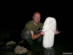 Kliknutím fotografii zvětšíte Sumec 174