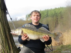 cand�t 83 cm  5,90 kg
