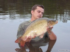 Kliknutím fotografii zvětšíte Návštěva na labi 2010 II.