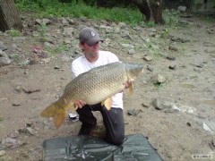 Kliknutím fotografii zvětšíte Kapr obecný 90 cm 12kg