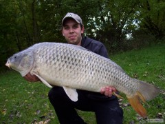 Kliknutím fotografii zvětšíte Kapr obecný 99cm 15kg