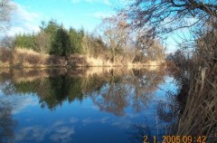 Kliknutím fotografii zvětšíte Svratka 3 nad splavem za Ikeou