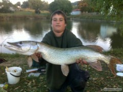 stika