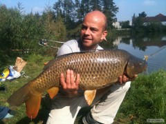 Kliknutím fotografii zvětšíte Feeder - Kapr 84 cm