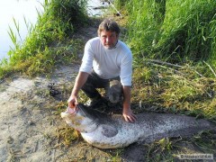 Sum�k,It�lie