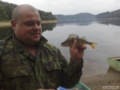 Kliknutím fotografii zvětšíte