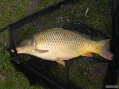    10kg supik z chomoutova 