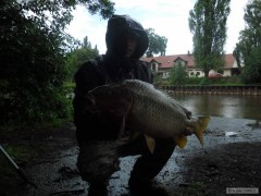 Kliknutím fotografii zvětšíte KARP 71CM VÁHA XX