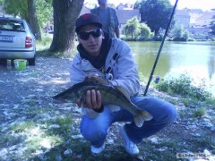 candatek