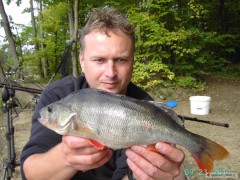Okounek 36cm