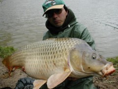 Kliknutím fotografii zvětšíte ten sam kapr 87cm 15kg z jineho pohledu
