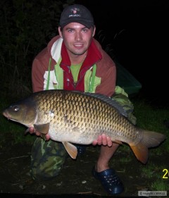 Kliknutím fotografii zvětšíte kapr 12kg