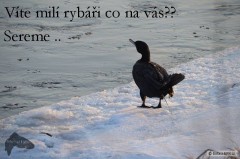 Kliknutím fotografii zvětšíte Asi tak ...