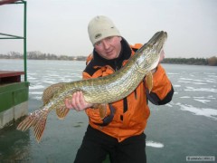 Kliknutím fotografii zvětšíte Štika 90cm