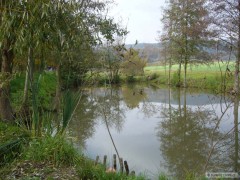 Kliknutím fotografii zvětšíte Léto 2011 č.1