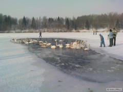 Kliknutím fotografii zvětšíte Zima 2012