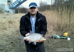 Kliknutím fotografii zvětšíte Feeder :-)
