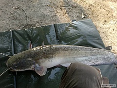 Kliknutím fotografii zvětšíte Pád 09.2011