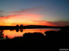 Kliknutím fotografii zvětšíte příroda